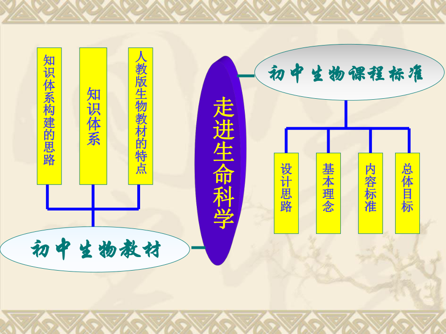 初中生物说教材.ppt_第2页