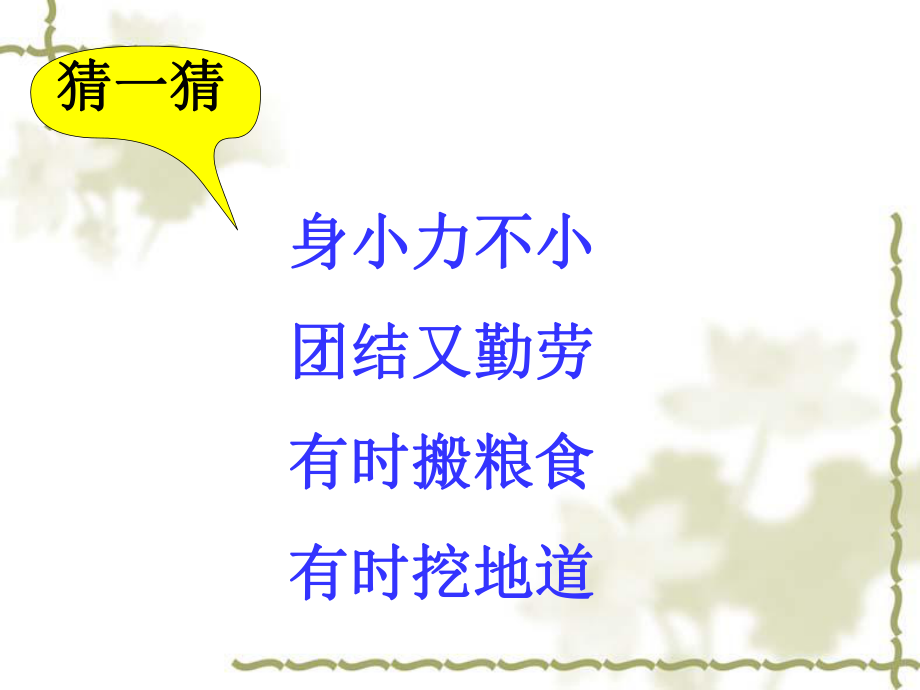 蚂蚁的文明.ppt_第1页