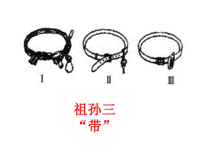 82用发展的观点看问题PPT.ppt