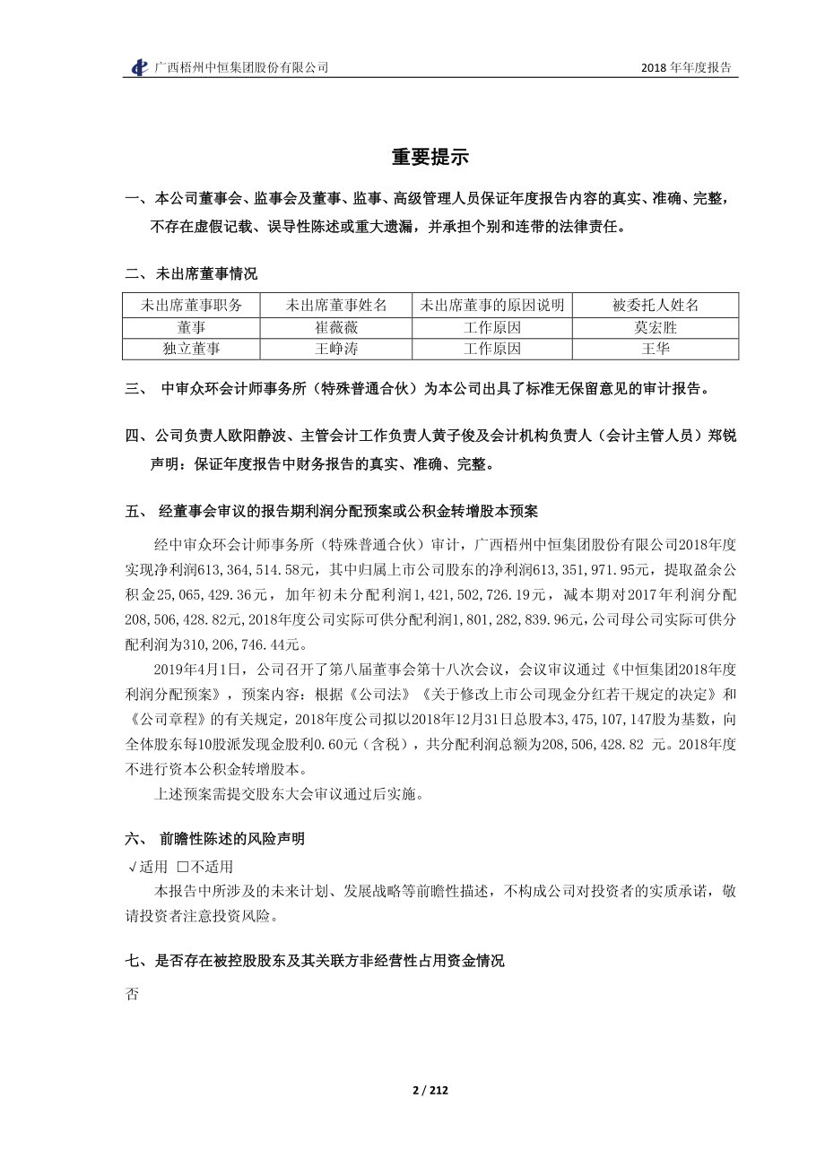 中恒集团：2018年年度报告.PDF_第2页