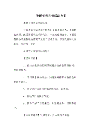 圣诞节元旦节活动方案_1.docx