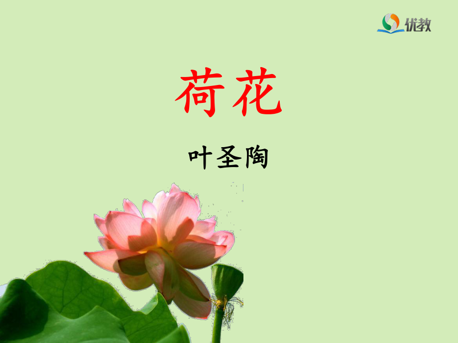 《荷花》优教课件（第二课时）.ppt_第1页