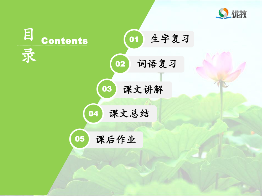 《荷花》优教课件（第二课时）.ppt_第2页