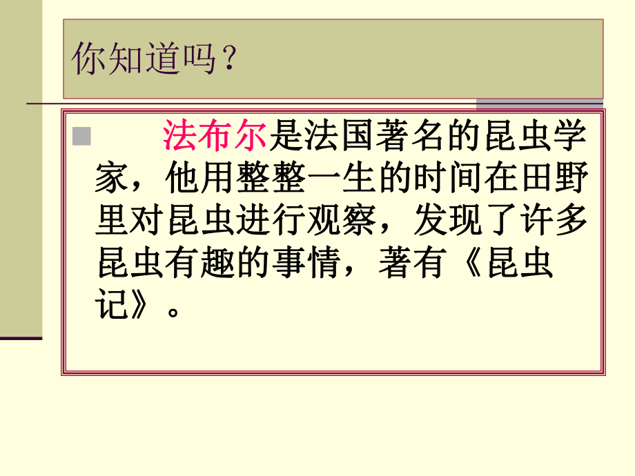 教科版科学六年级下册《放大镜下的昆虫世界》ppt课件.ppt_第2页