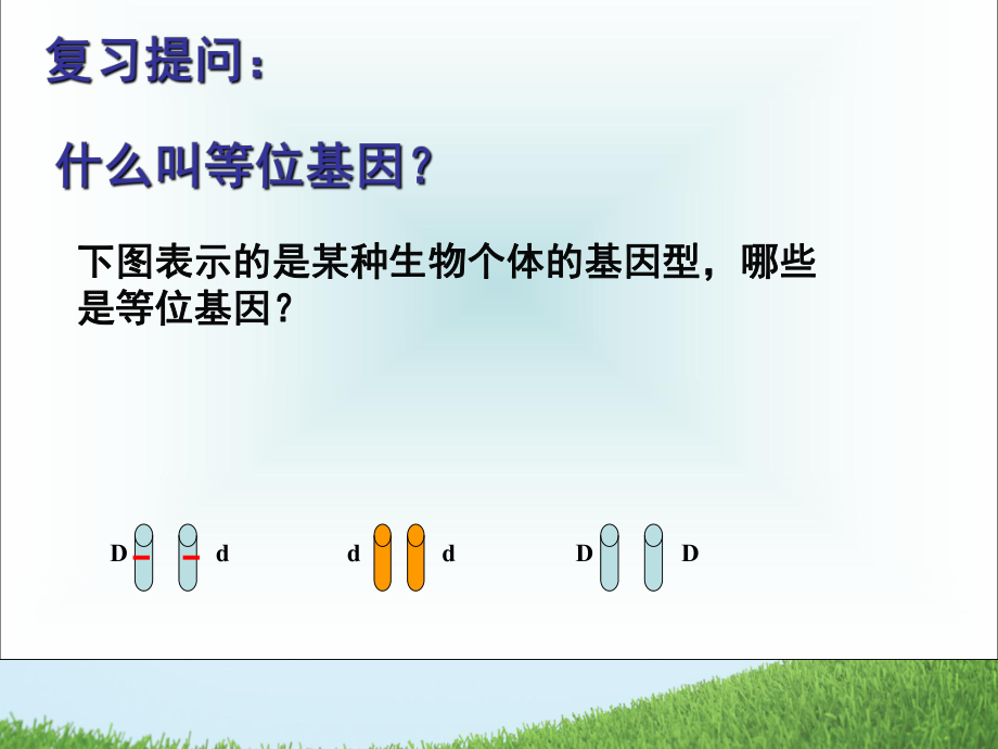 董志敏《基因自由组合定.ppt_第2页