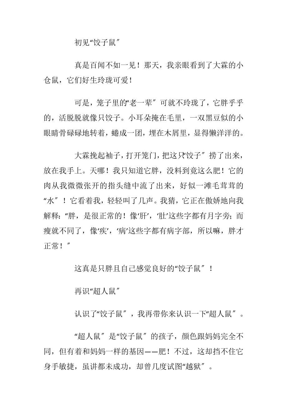 仓鼠彩色简笔画教程步骤图片.docx_第2页