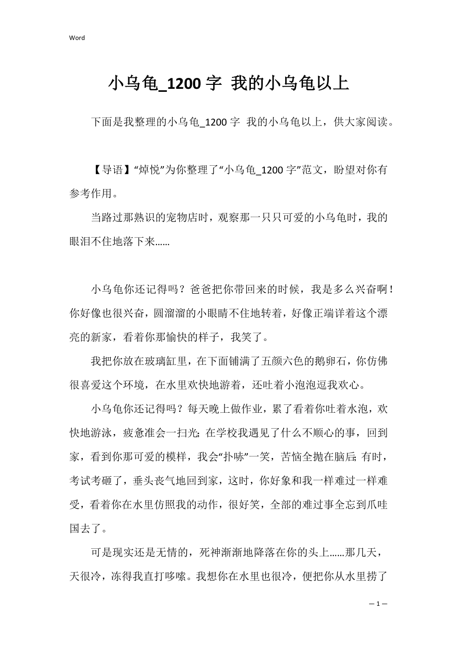 小乌龟_1200字 我的小乌龟以上.docx_第1页