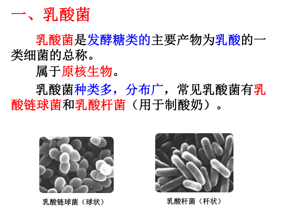 13制作泡菜并检测亚硝酸盐含量.ppt_第2页