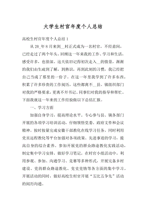 大学生村官年度个人总结精选.docx