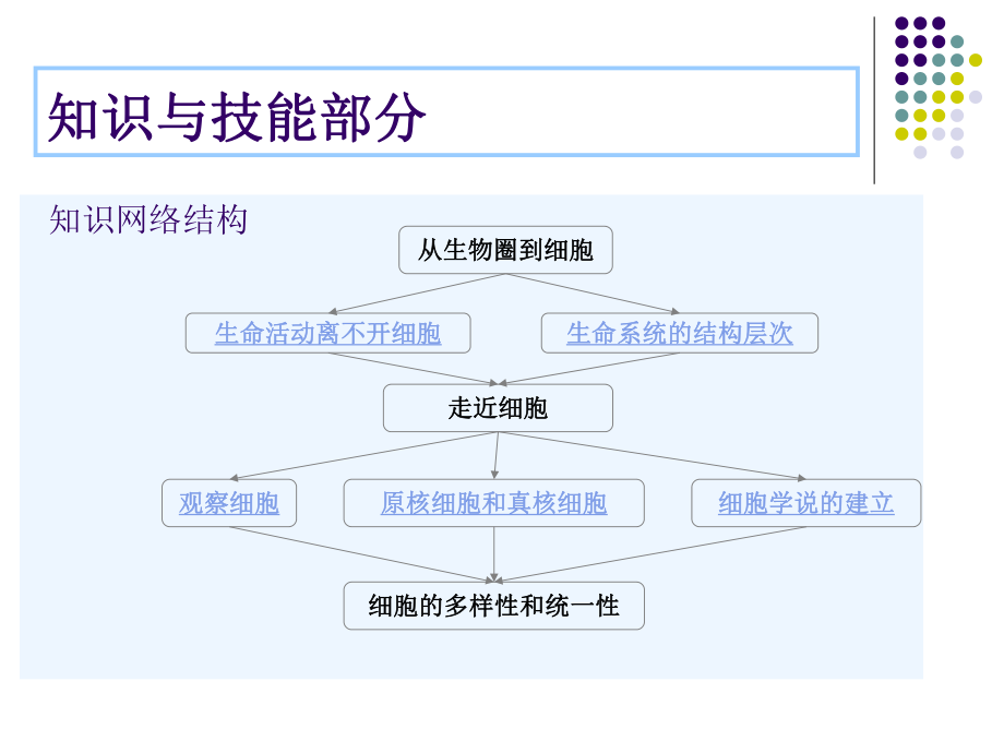 高中生物必修一第一章《走进细胞》.ppt_第2页