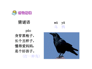 《19、乌鸦喝水》.ppt