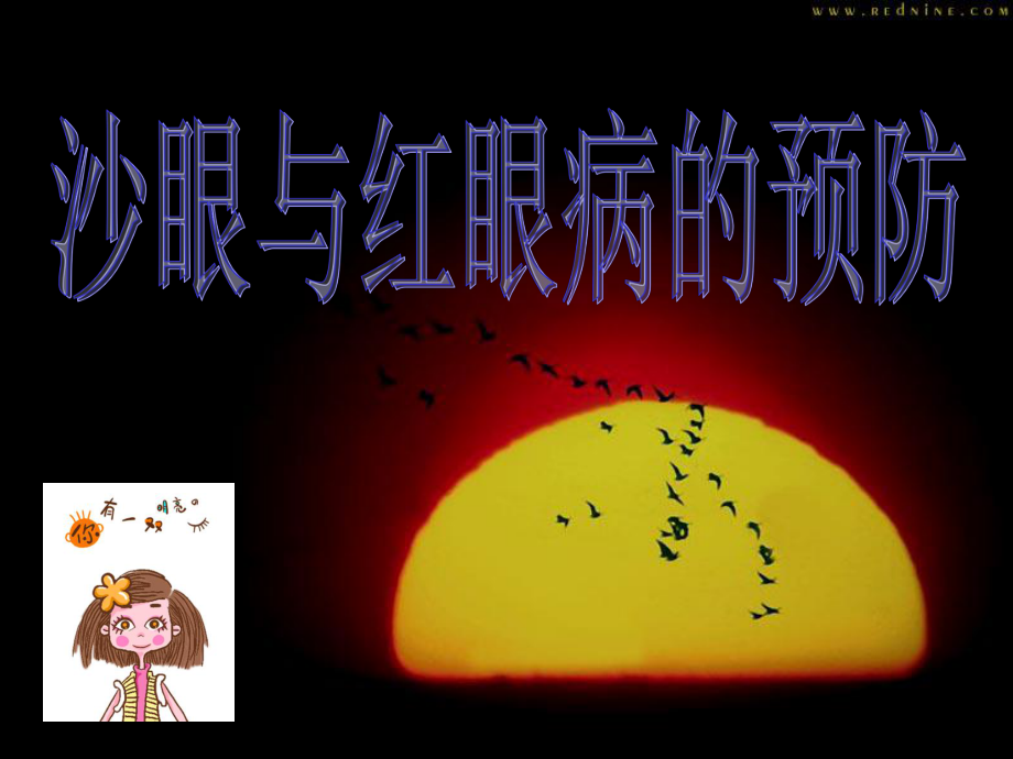 沙眼与红眼病的预防.ppt_第1页