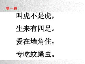 《小壁虎借尾巴》PPT课件.ppt