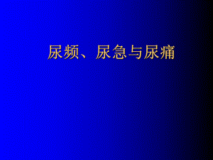 诊断学尿频尿急与尿痛PPT课件.ppt