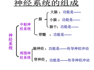 第四节激素调节公开课ppt课件.ppt