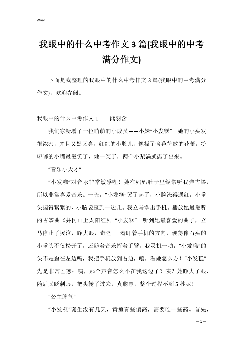 我眼中的什么中考作文3篇(我眼中的中考满分作文).docx_第1页