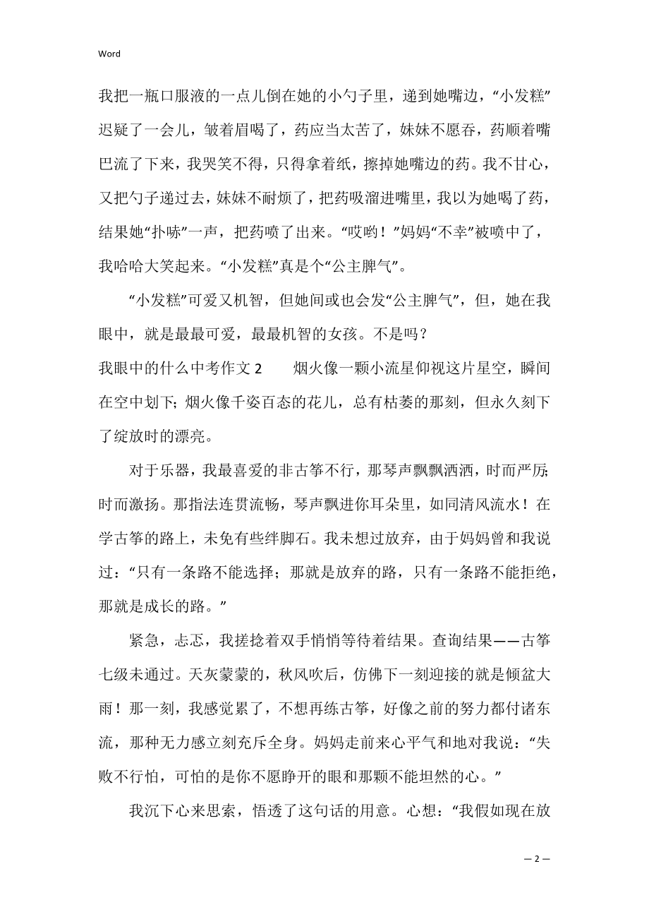 我眼中的什么中考作文3篇(我眼中的中考满分作文).docx_第2页