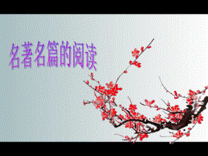 名著名篇阅读一中.ppt