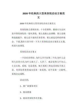 2020年经典的大型美容院活动方案范文.docx