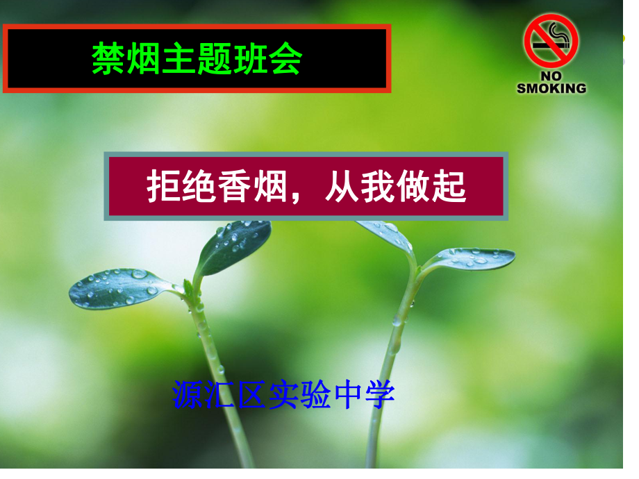 校园禁烟主题班会ppt课件.ppt_第1页