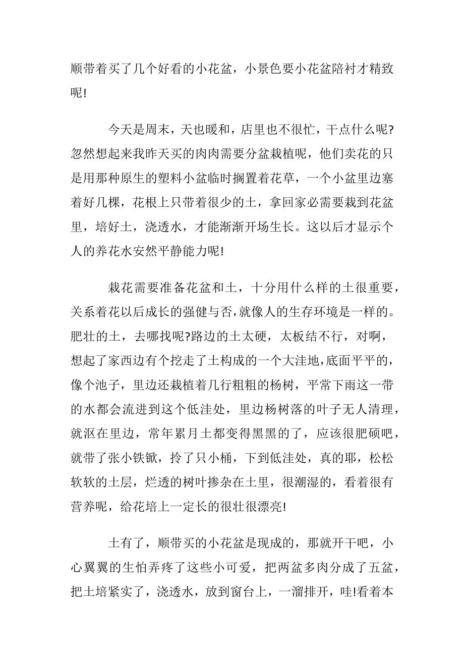 有关种花的优美散文随笔-我把春天请进了房间.docx_第2页