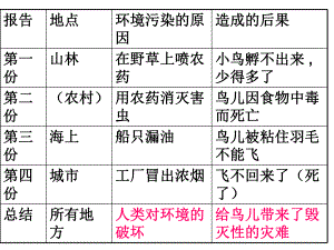 鸟儿的侦察报告(1).ppt