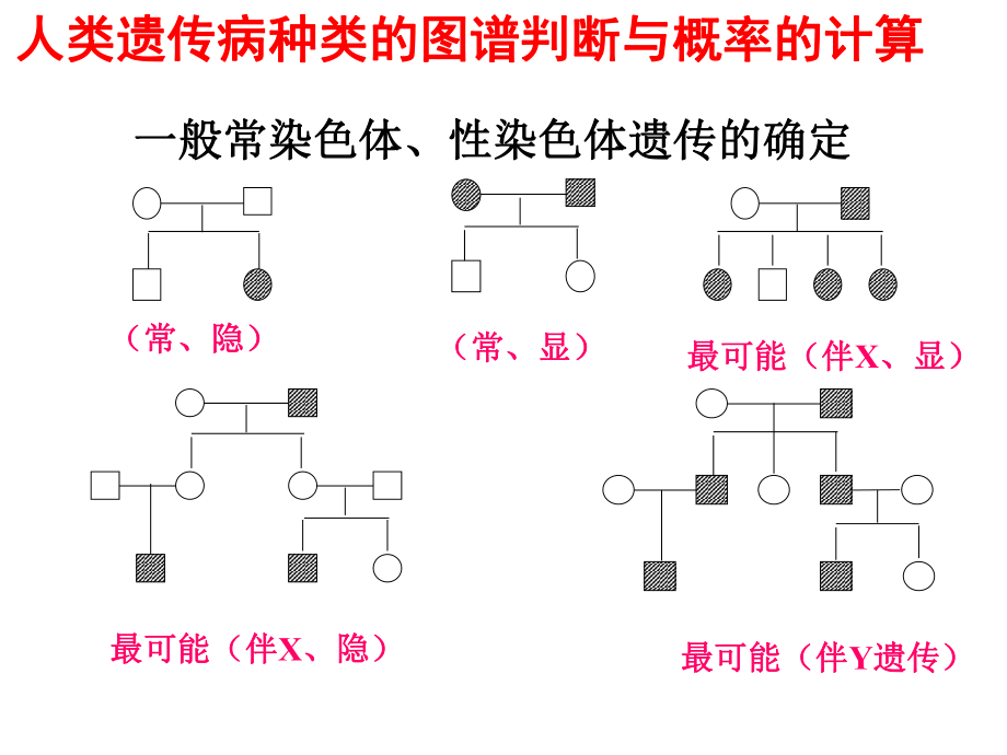 高三遗传病解题思路.ppt_第2页