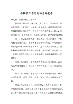 导购员工作计划和总结报告精编.docx