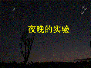 夜晚的实验PPT课件(1).ppt