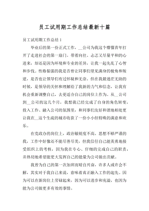 员工试用期工作总结最新十篇精选.docx