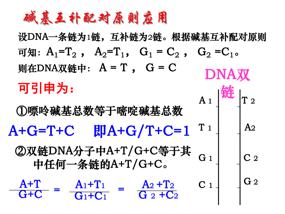 DNA分子结构的相关计算.pptx_第1页