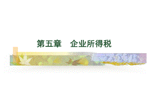 第五章所得税（1）-第四章企业所得税.pptx