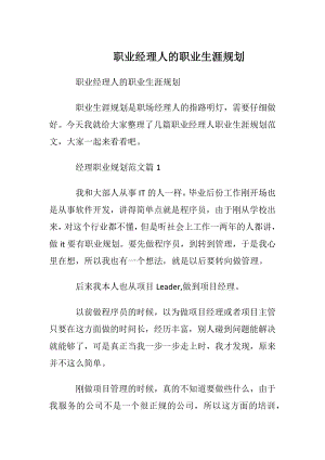 职业经理人的职业生涯规划.docx