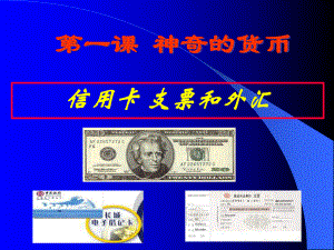 高一政治神奇的货币第二框.ppt