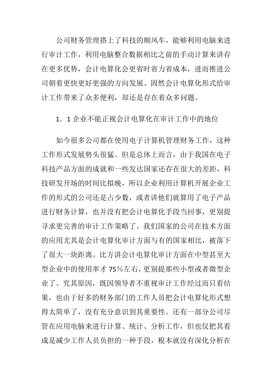 会计电算化下的审计工作问题与对策.docx_第2页