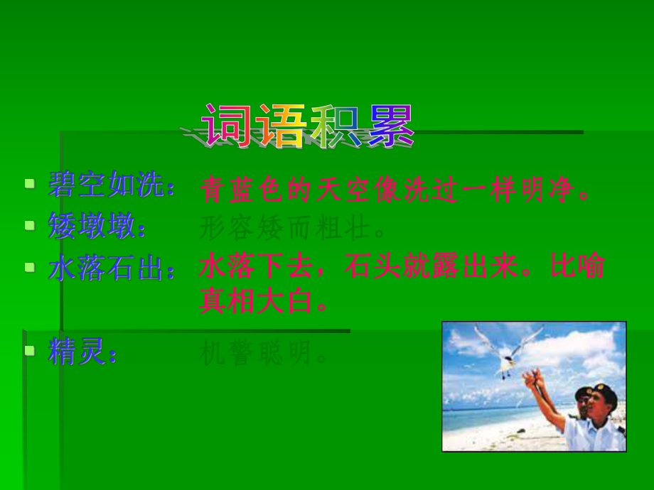 彩色的翅膀 (7).ppt_第2页