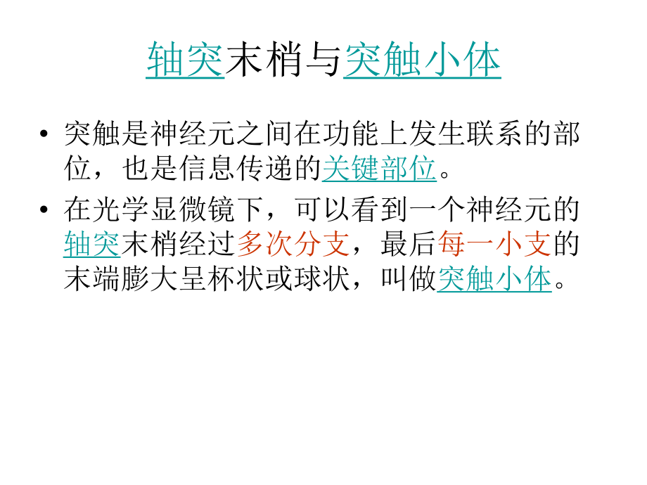 动物生命活动调节补充.ppt_第2页