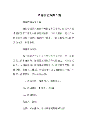 踏青活动方案3篇.docx