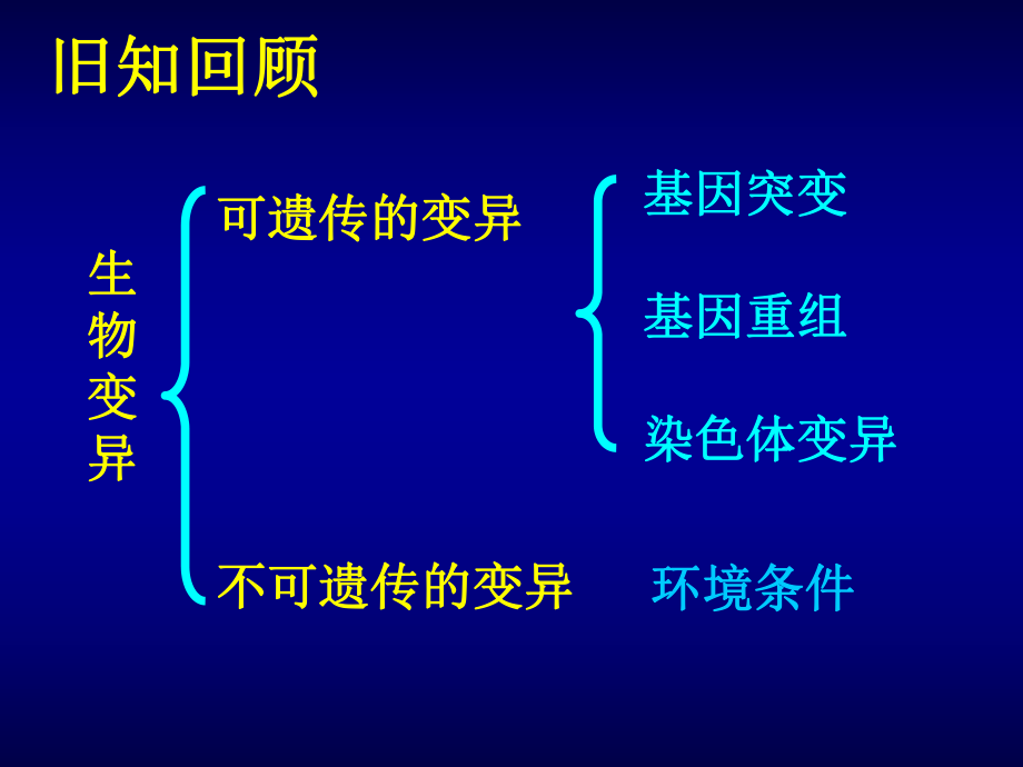 染色体变异（正式版）ppt课件.ppt_第2页