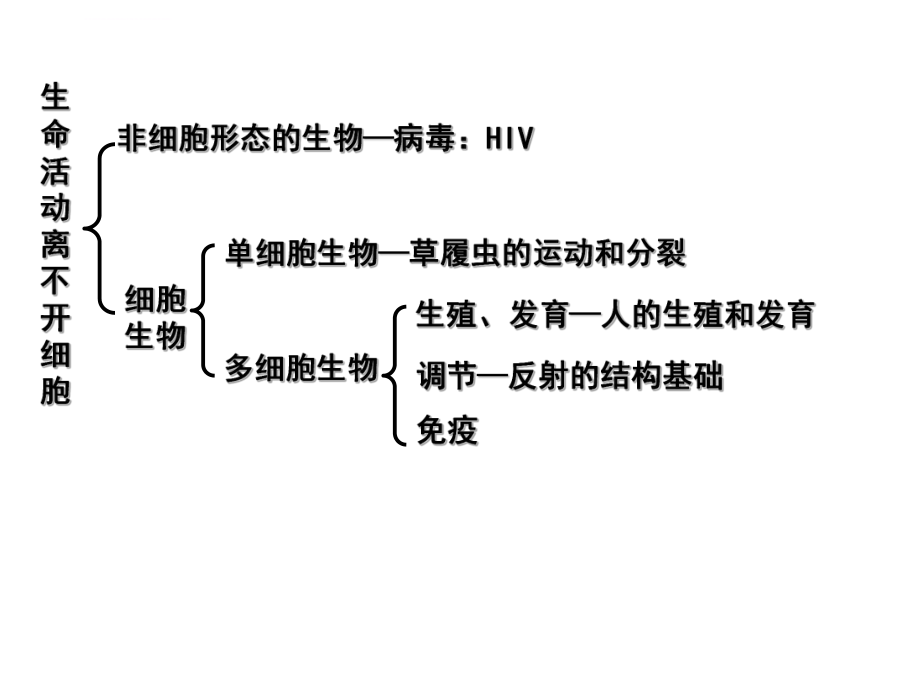 高中生物必修一总复习ppt课件.ppt_第2页