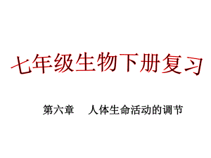 七年级下册生物第六章人体生命活动的调节复习资料ppt课件.ppt