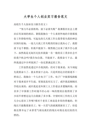 大学生个人创业实习报告范文精编.docx