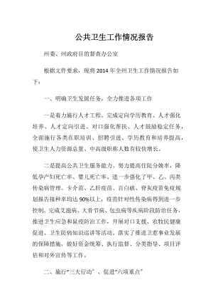 公共卫生工作情况报告.docx