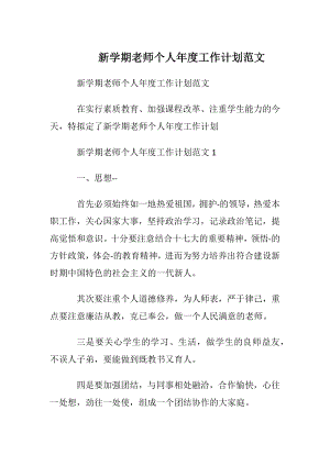 新学期老师个人年度工作计划范文.docx