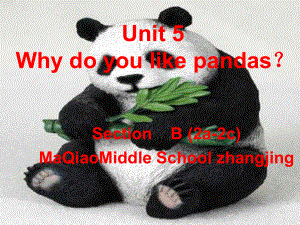 5课时unit_5_Why_do_you_like_pandas_section_B好-副本2.ppt