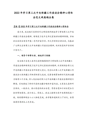 2022年学习第三次中央新疆工作座谈会精神心得体会范文两篇稿合集.docx