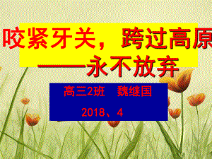 高三励志主题班会“永不放弃”ppt课件.ppt