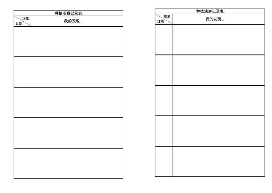 中班种植观察记录表.doc_第1页