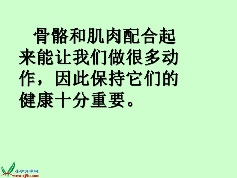 骨骼、肌肉的保健__课件1.ppt_第2页