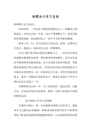 助理会计实习总结精选.docx